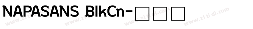 NAPASANS BIkCn字体转换